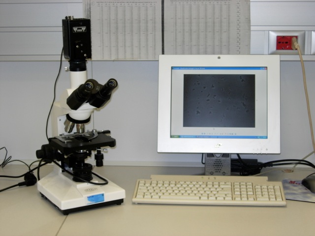 Loading Image